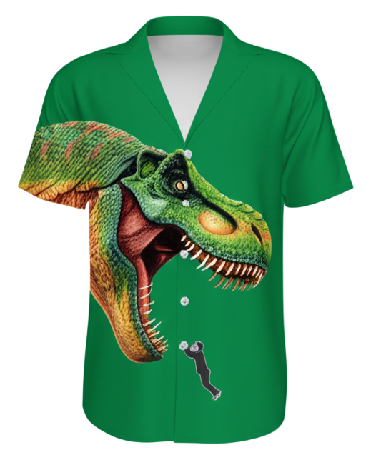 V-neck button down shirt