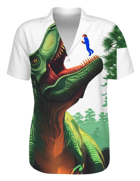 V-neck button down shirt