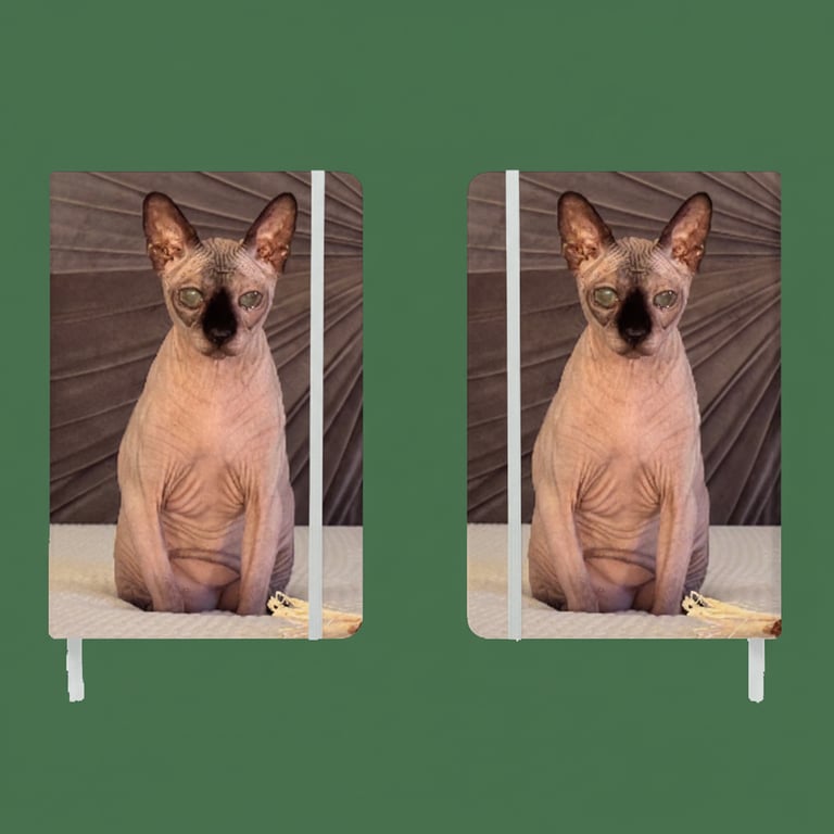 Custom Design
